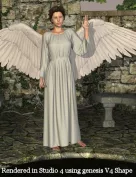 Angelic Dynamic Gown for V4