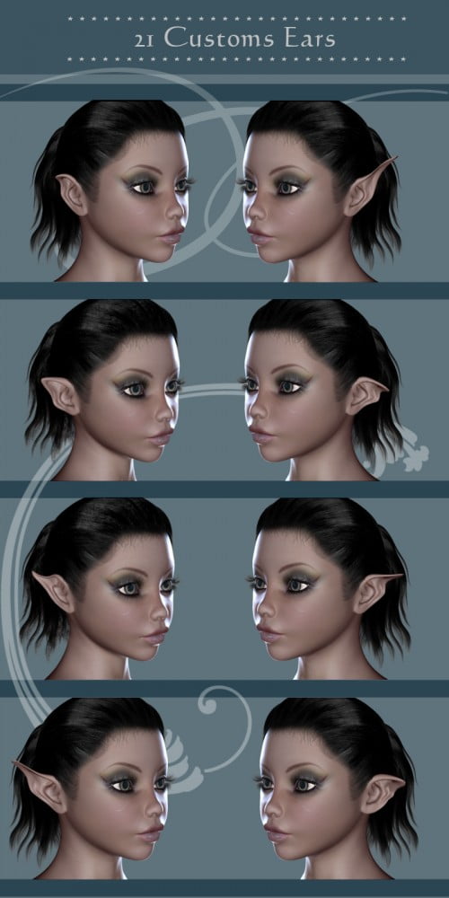 21 Customs Ear for V4 and Aiko 4