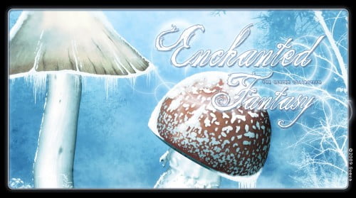 Enchanted Fantasy - The Winter Collection Enchanted Fantasy - The Winter Collection