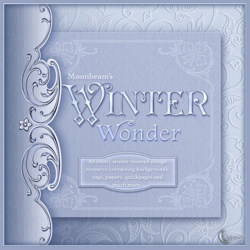 Moonbeam’s Winter Wonder