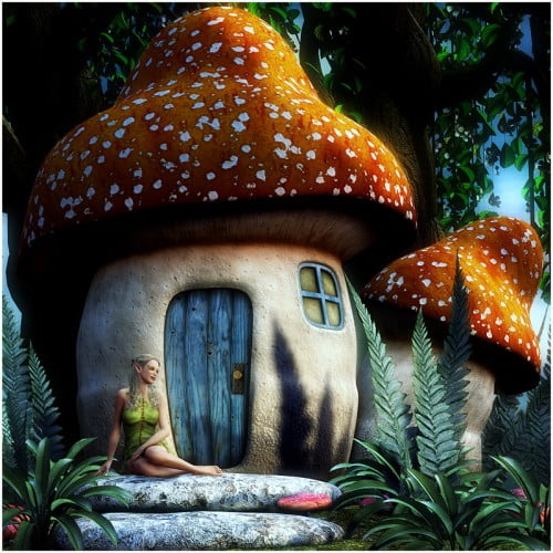 Mushroom Fairy House