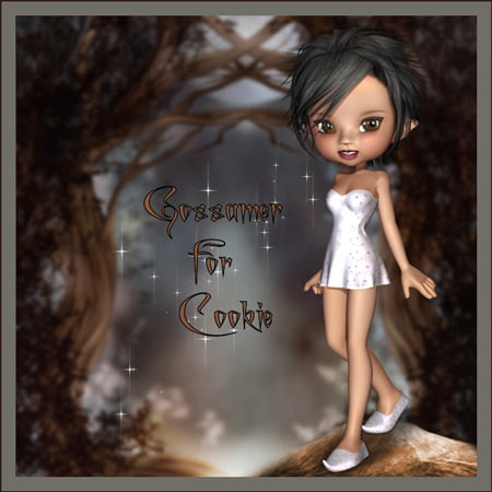 Gossamer For Cookie