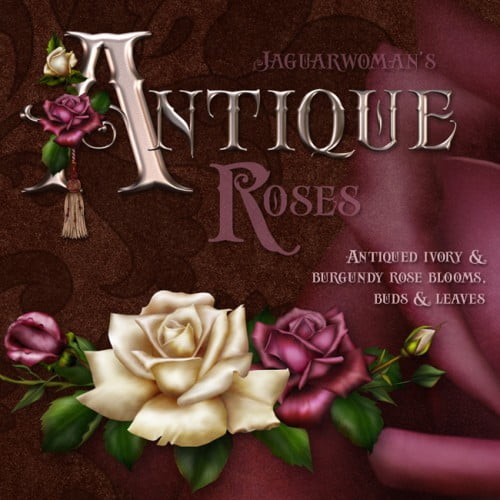 Jaguarwoman’s “Antique Roses”