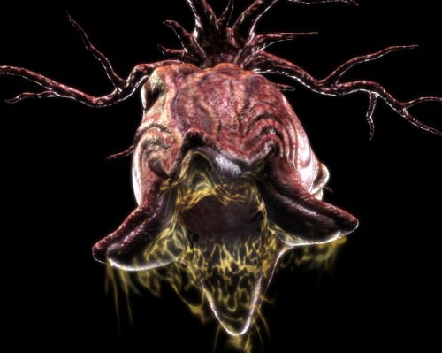 Alien Egg (final version) Alien Egg (final version)