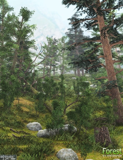 Forest Superior