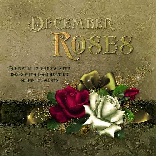 Jaguarwoman’s “December Rose”