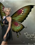 Chrysalis Wings