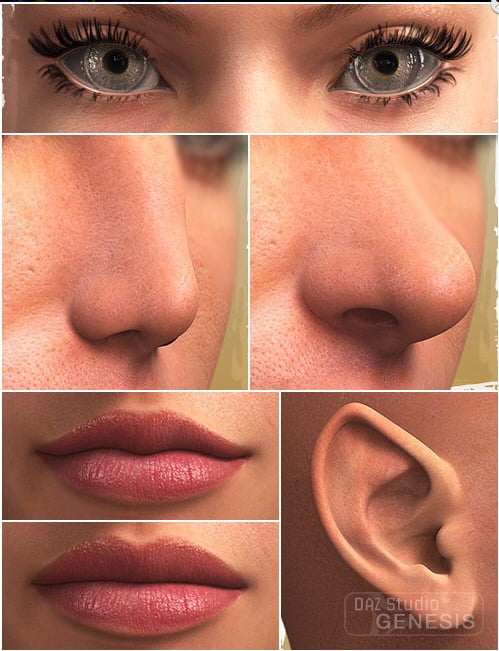 Genesis Evolution Morph Bundle v1.5