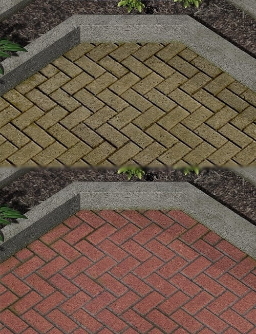 Corner of the Garden