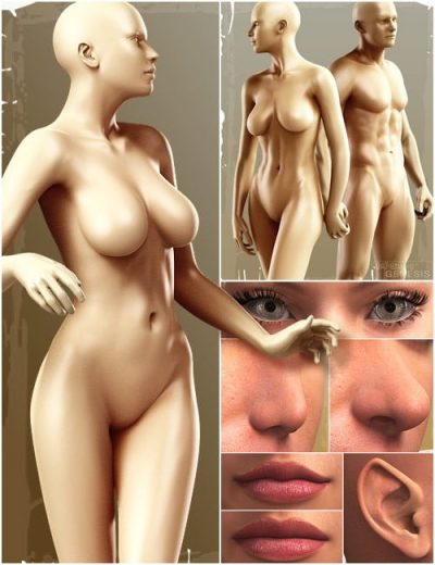 genesis-evolution-morph-bundle-large