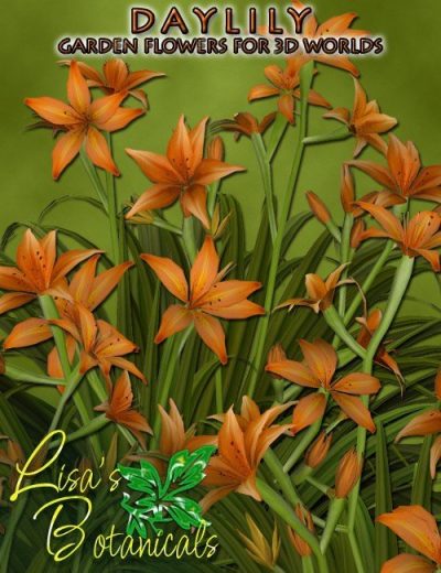 lisa-s-botanicals-daylily-large