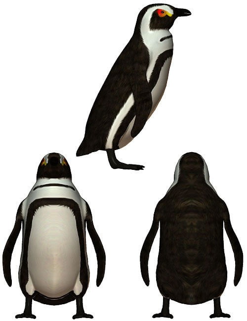 Penguin