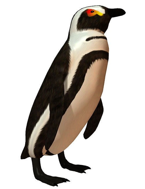 Penguin
