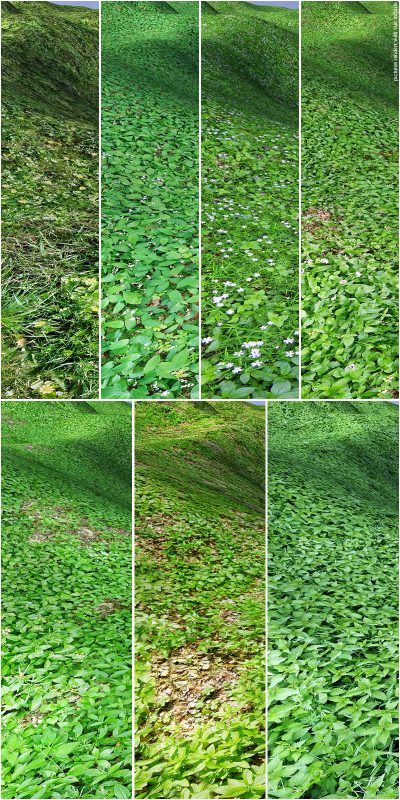 product_image_full_115019