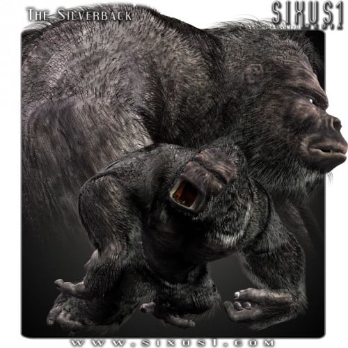 Silverback Ape