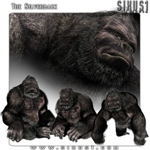 Silverback Ape