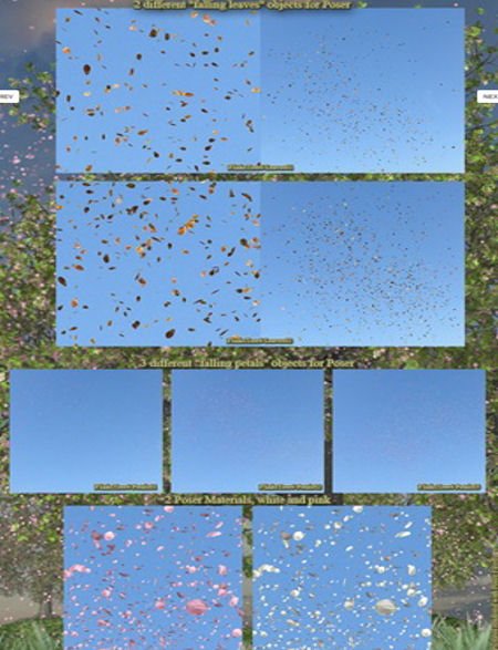 Flinks Tree 4 -seasons-