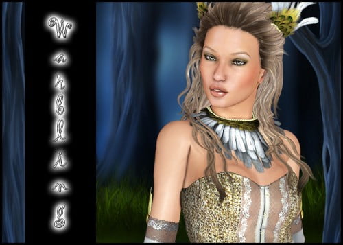 Warbling for Midnight Bird