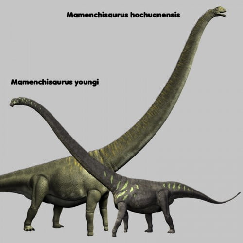 MamenchisaurusDR