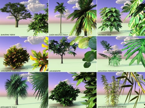 Incredibly Lush Tropical Paradise