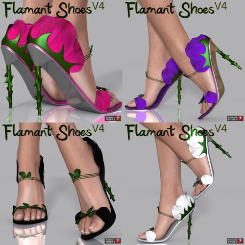 Flamant Shoes V4