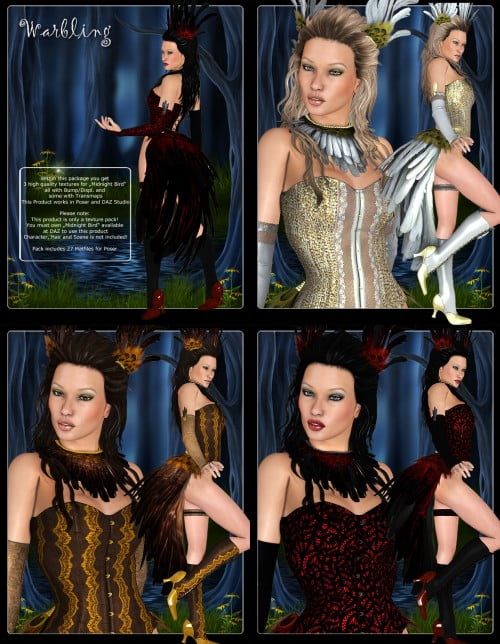 Warbling for Midnight Bird