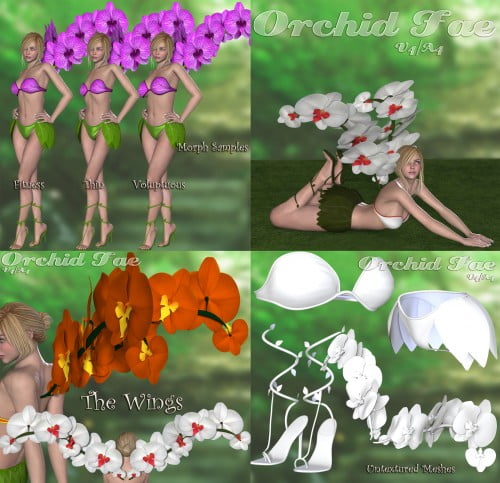 Orchid Fae V4-A4