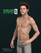 David 5