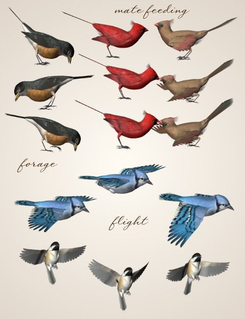 Songbird ReMix Pose Pack