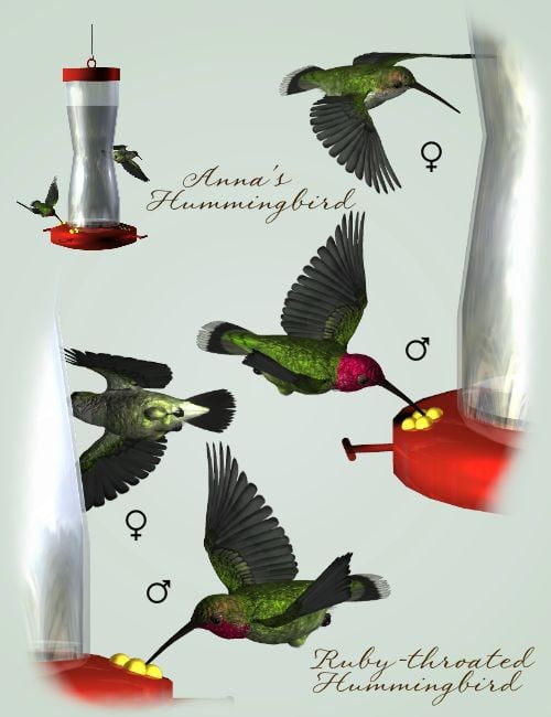 Songbird ReMix Second Edition