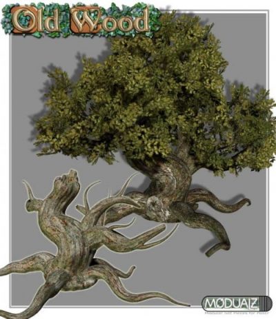 EJ-008-RDNA-Old-Wood-Vol-2-Gnarled-Trees