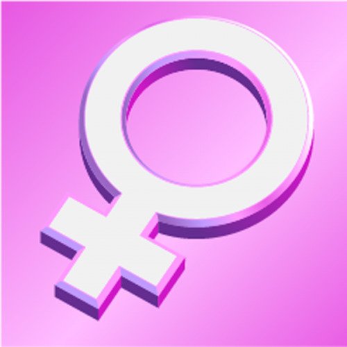 Genesis Female Genitalia