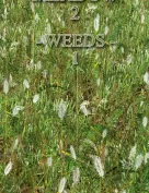Flinks Instant Meadow 2 - Weeds 1