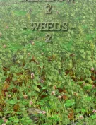 Flinks Instant Meadow 2 - Weeds 2