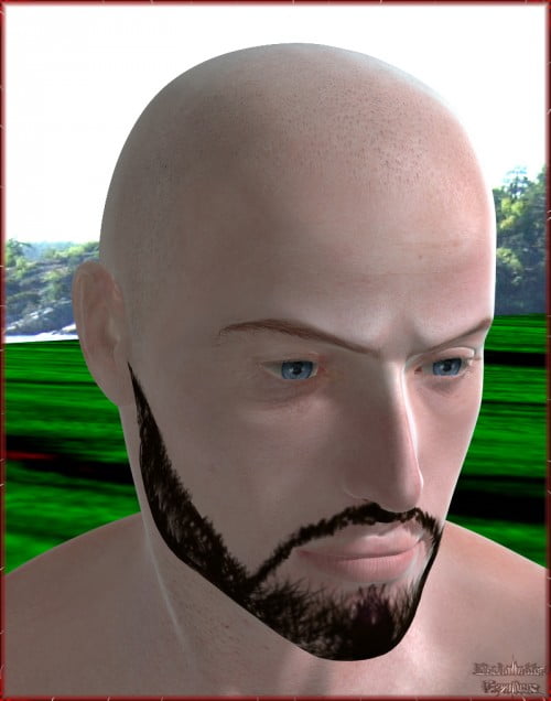 Beard 4 Michael 3 & David 3