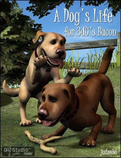 a-dogs-life-large-2