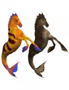 Hippocampus (Mermaid's Horse) Mappak