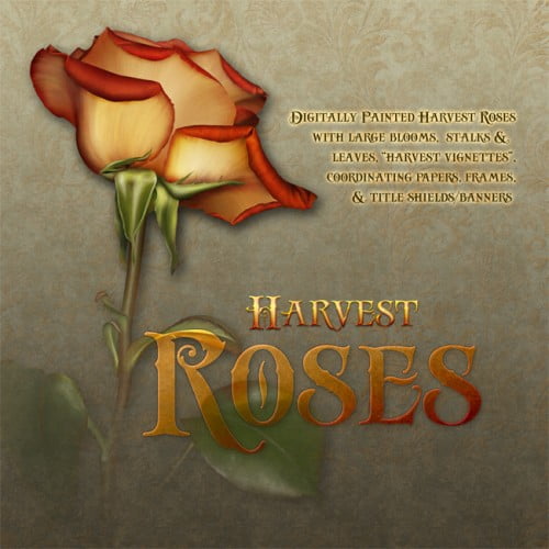 Jaguarwoman’s “Harvest Roses”