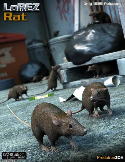 lorez-rat-large