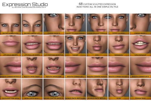 i13 Expression Studio