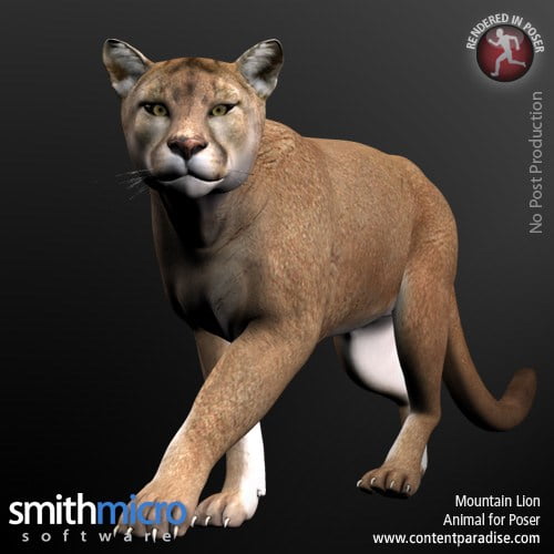 Mountain Lion (Wildlife Series)