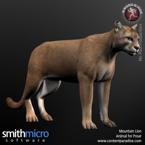 Mountain Lion (Wildlife Series)