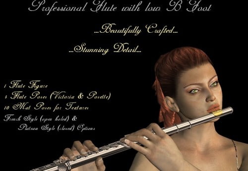 Professional Flute