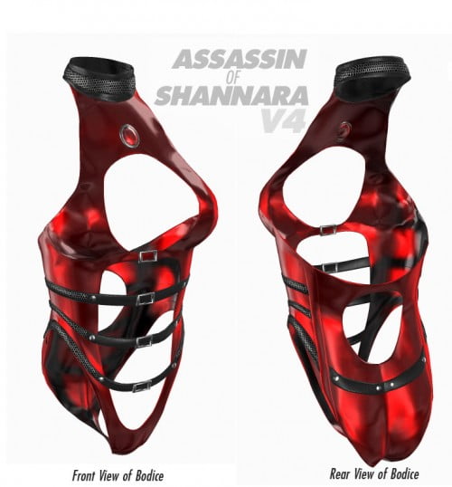 Assassin of Shannara V4