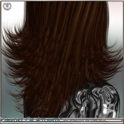 SoftgoodImage38741a-2