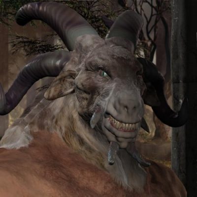 cyllan-sgwildwildwoods_1-1