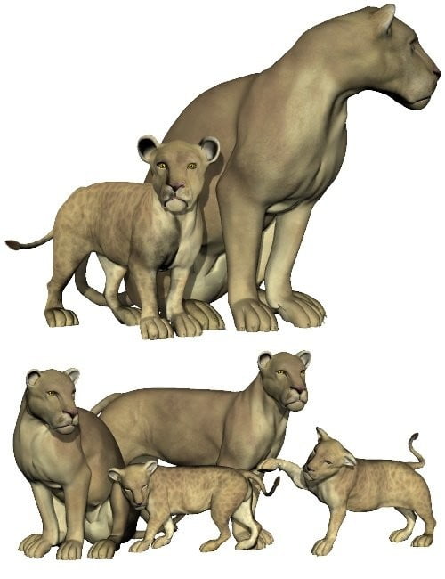 Digiport's Mil Big Cat Pride Poses