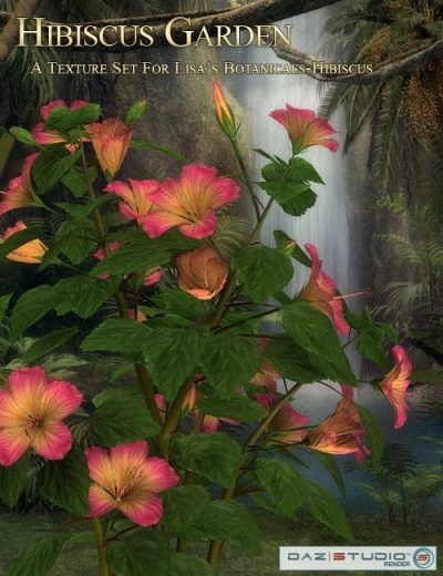 hibiscus-garden-large-1