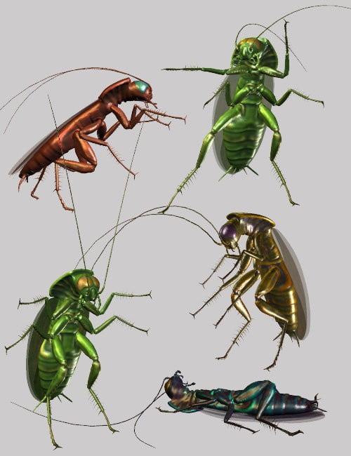 Insect-I-Vore The Roach