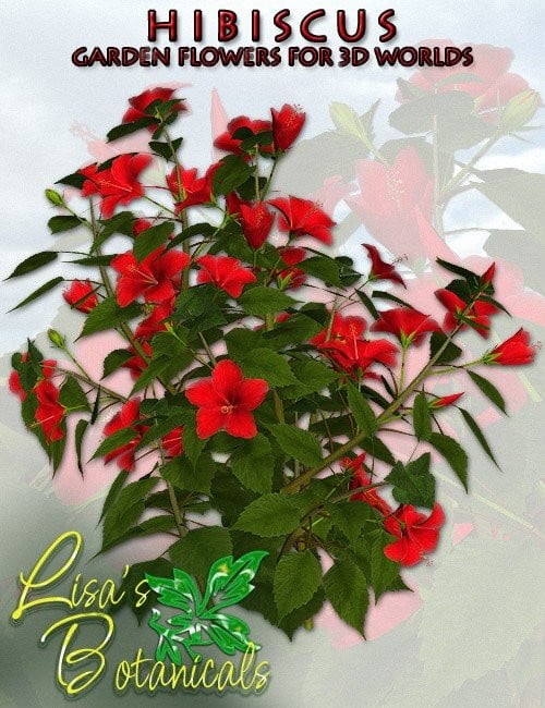 Lisa's Botanicals - Hibiscus